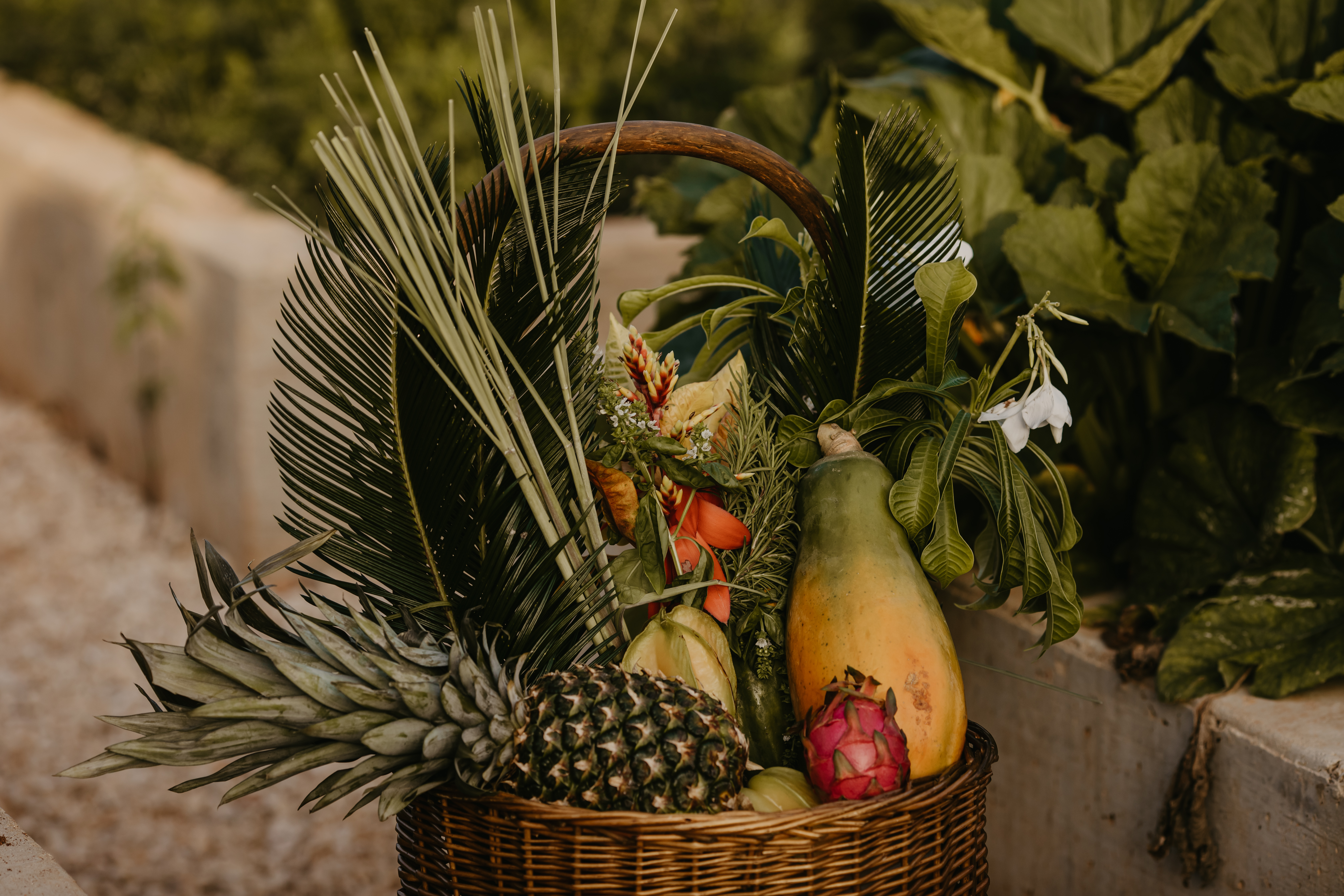 The coast house from above